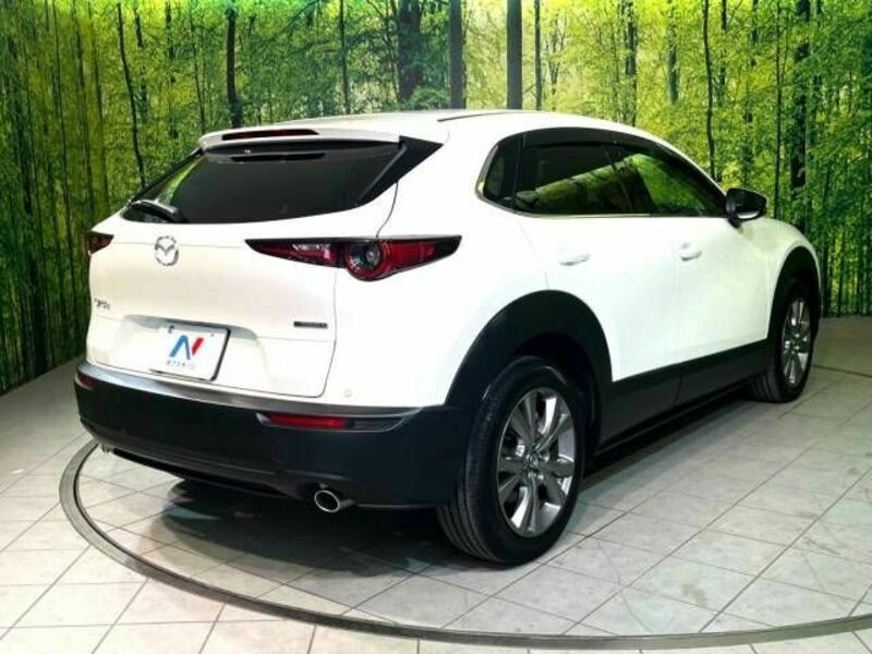 CX-30-16