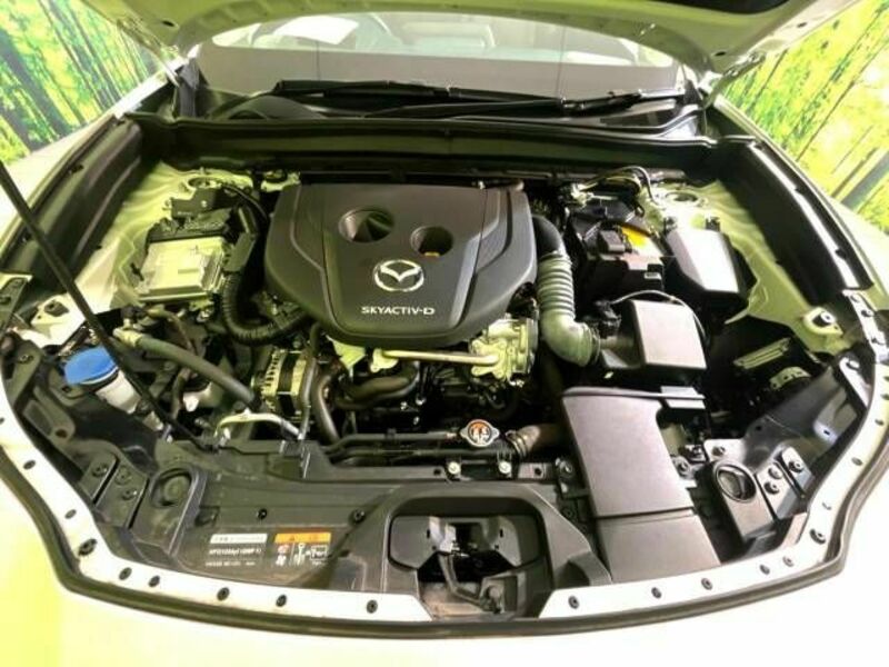 CX-30-17
