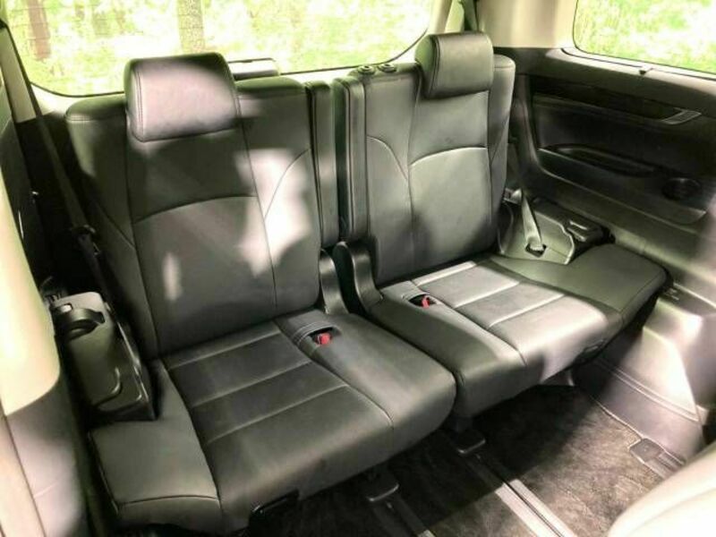 ALPHARD-10
