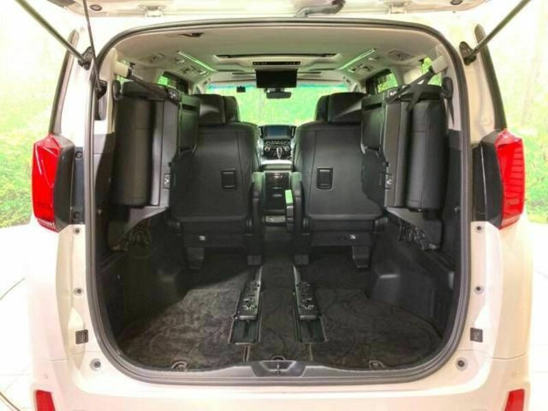 ALPHARD-11