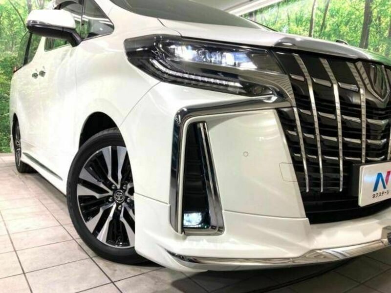 ALPHARD-13