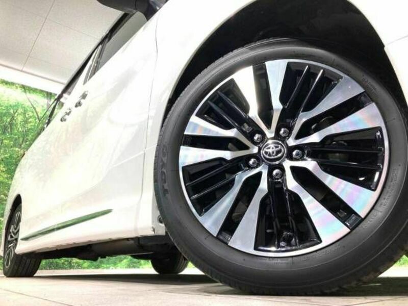 ALPHARD-14