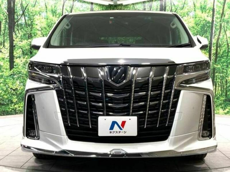 ALPHARD-15