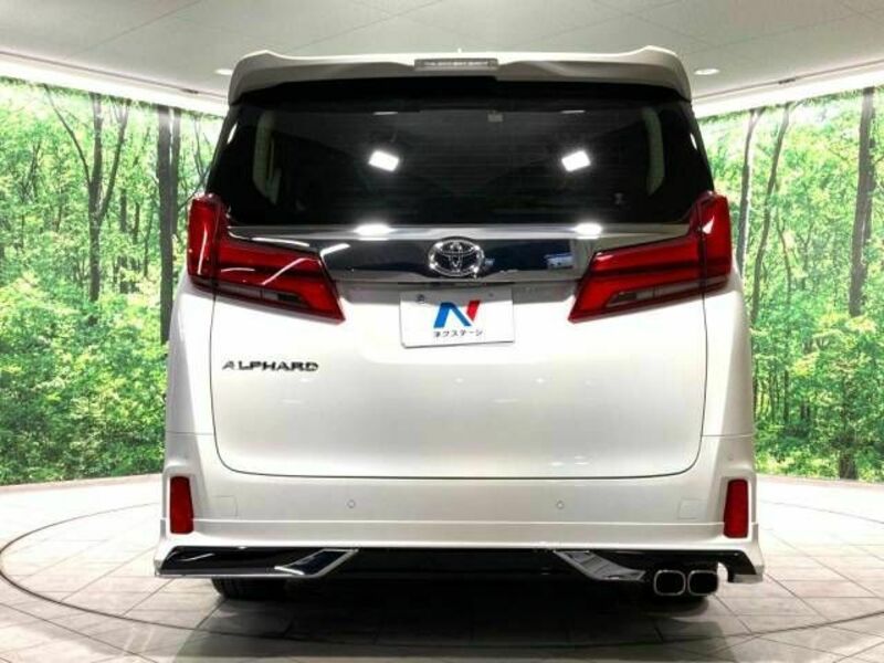 ALPHARD-16
