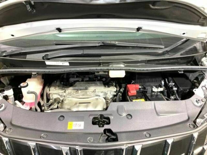 ALPHARD-19