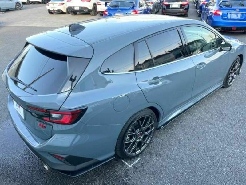 LEVORG
