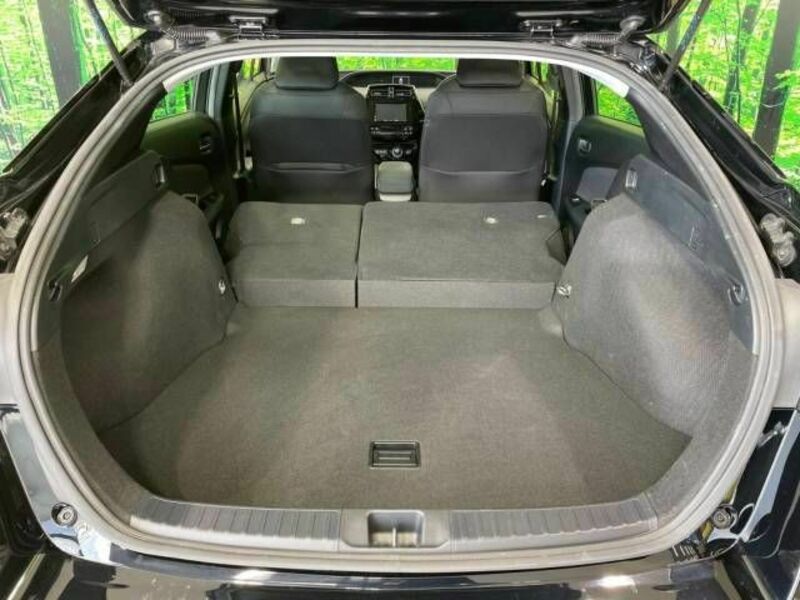 PRIUS-9