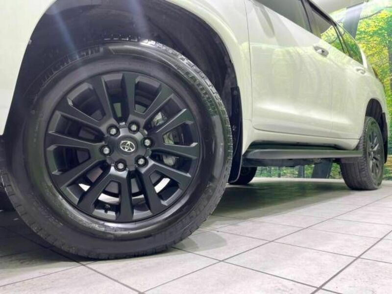 LAND CRUISER PRADO-13