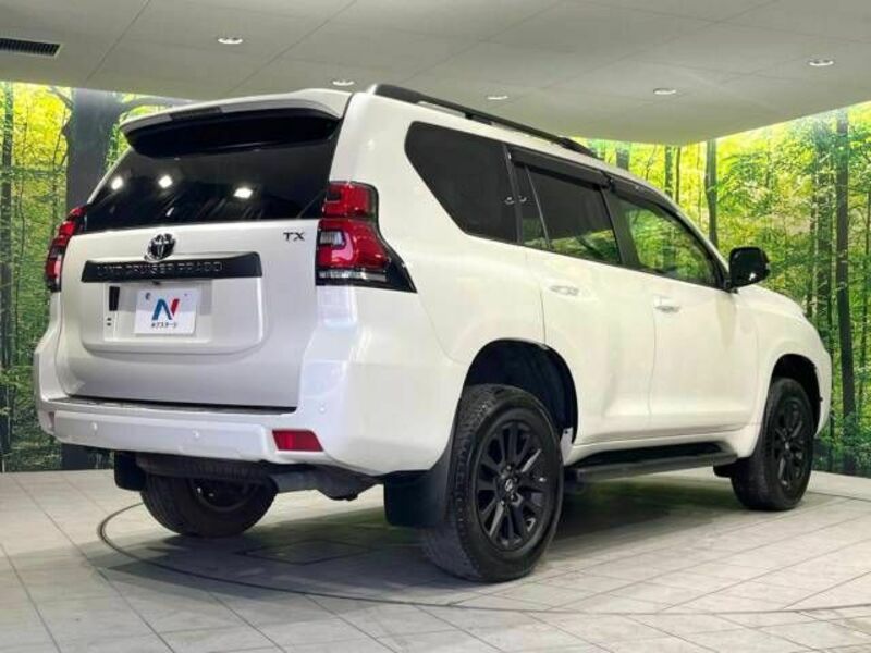 LAND CRUISER PRADO-17