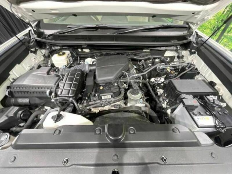 LAND CRUISER PRADO-18