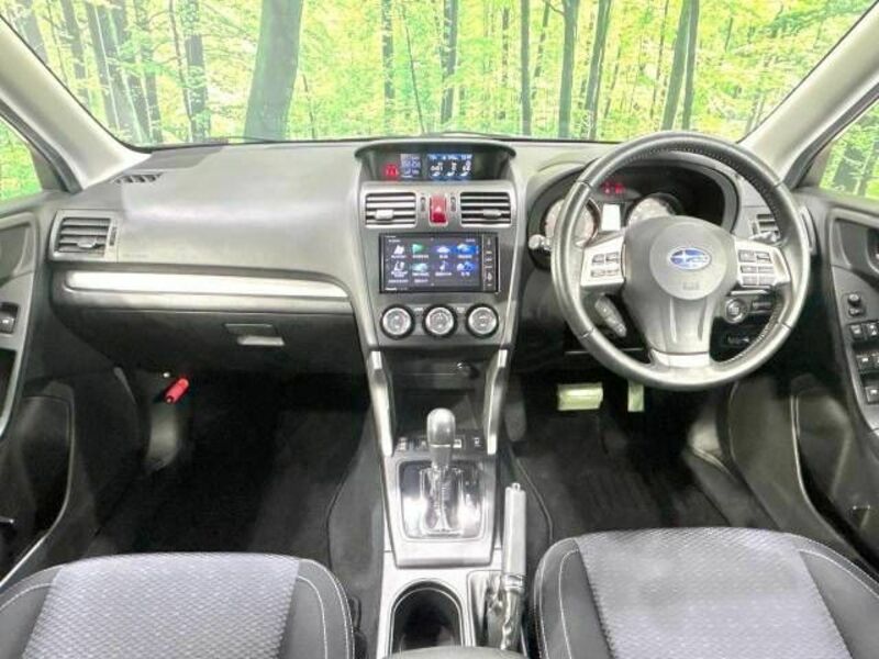 FORESTER