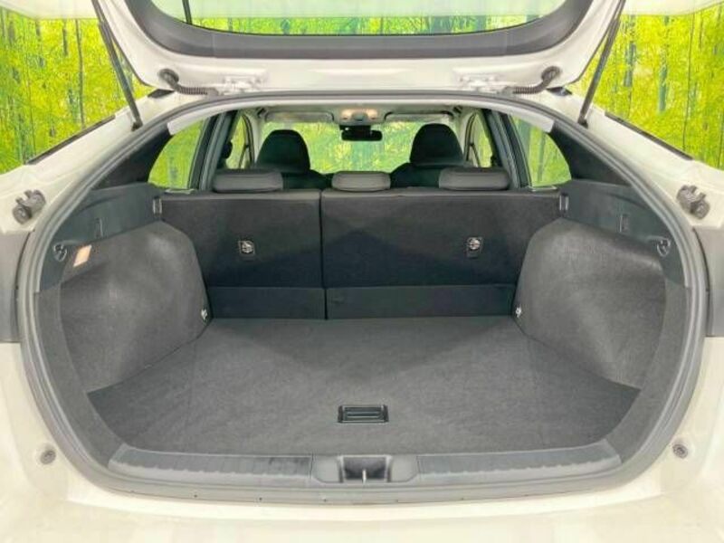 PRIUS-9