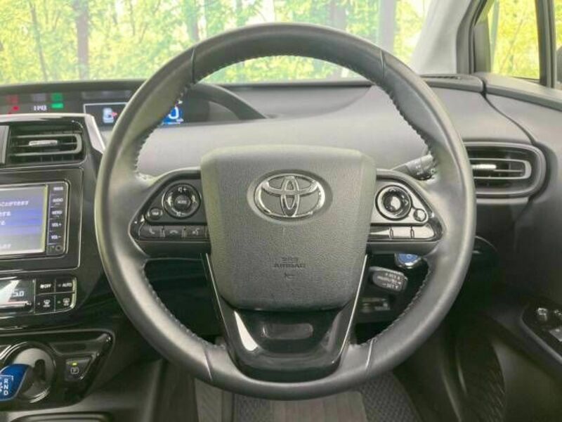 PRIUS-10