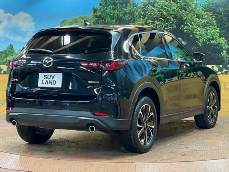 CX-5-17