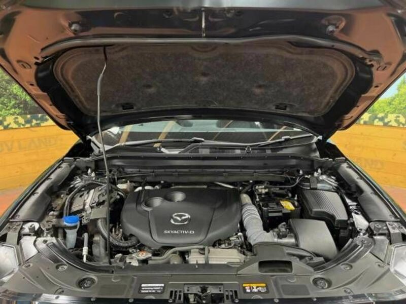 CX-5-18