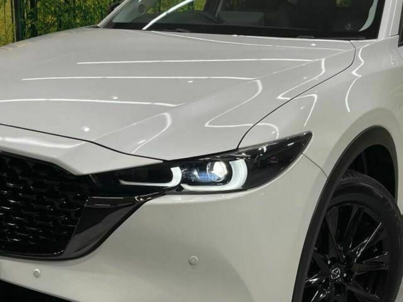 CX-5-11