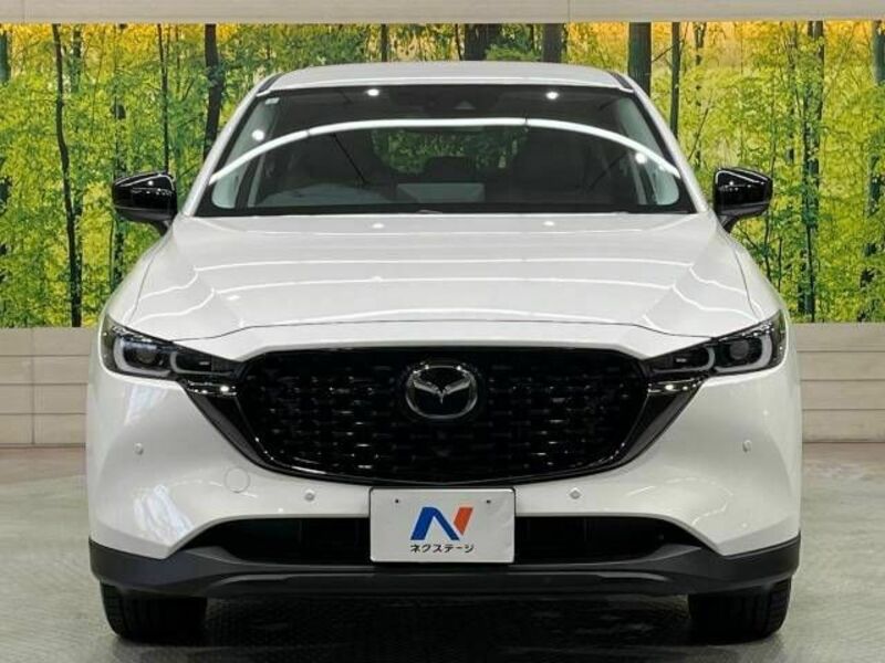 CX-5-13