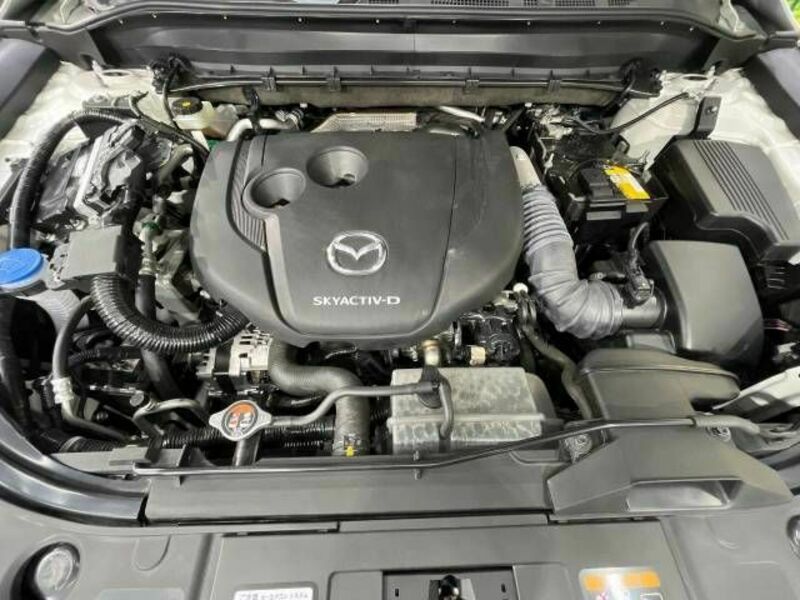 CX-5-17