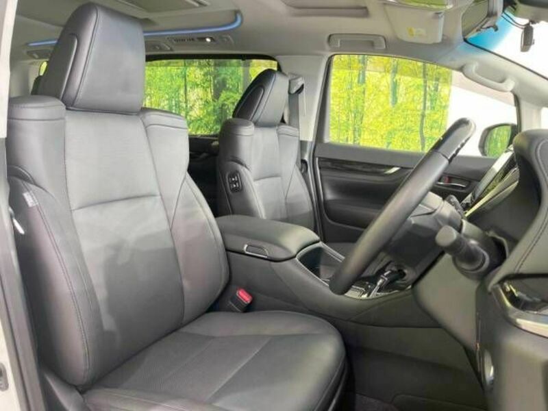 ALPHARD-7