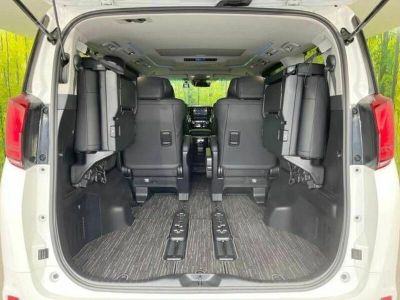 ALPHARD-10