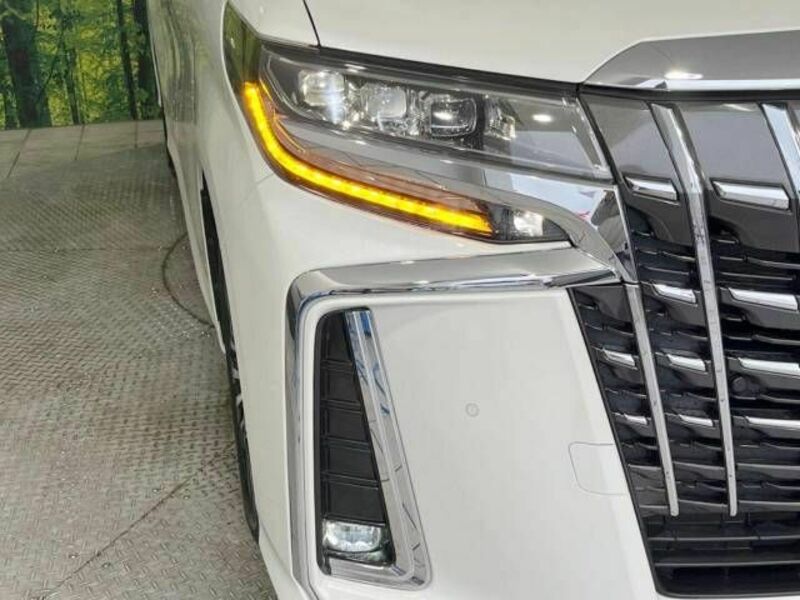 ALPHARD-12