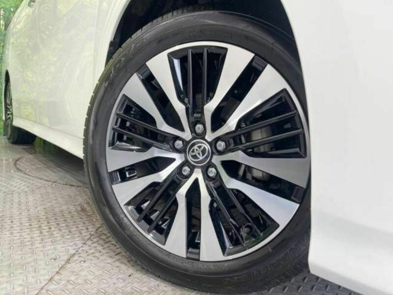 ALPHARD-13