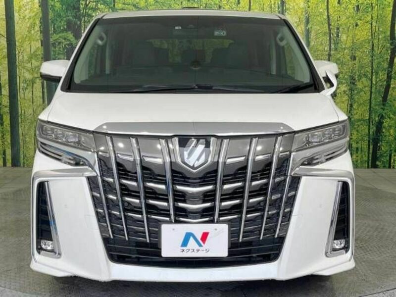 ALPHARD-14
