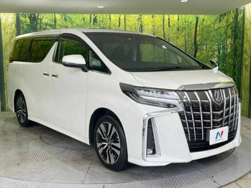 ALPHARD-16