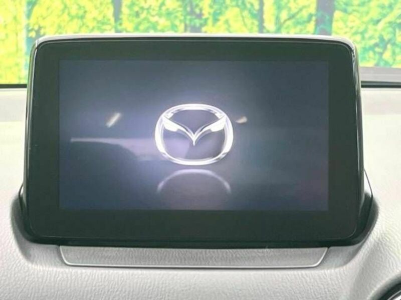 CX-3-3