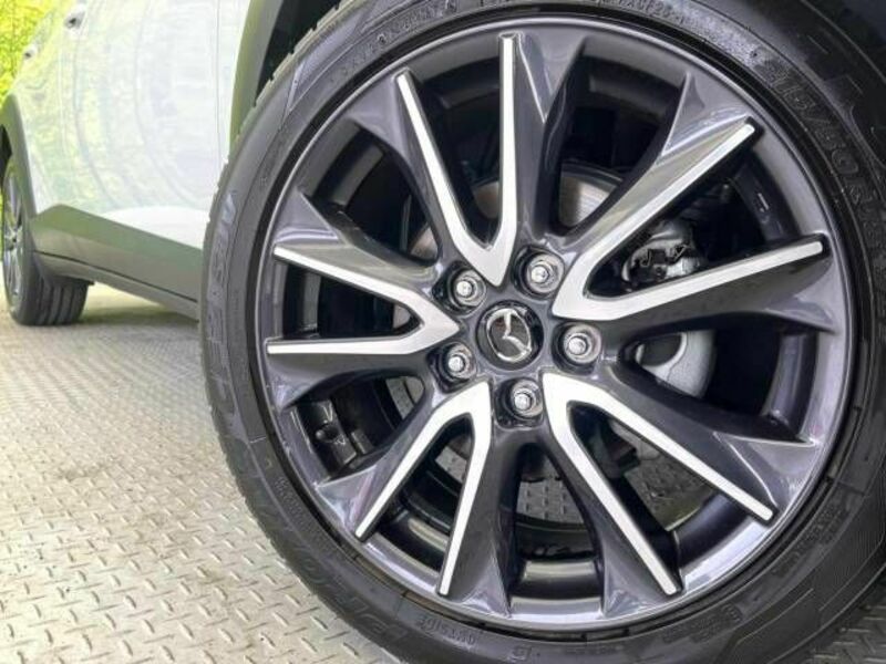 CX-3-13