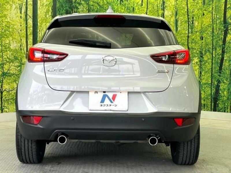 CX-3-15