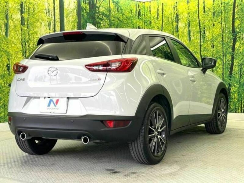 CX-3-17