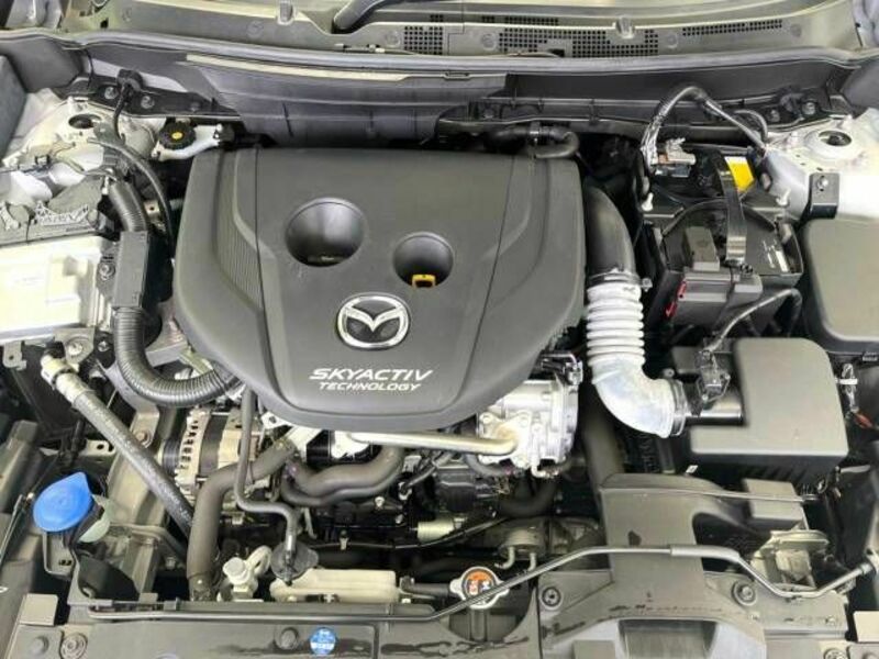 CX-3-18