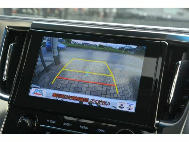 ALPHARD-10