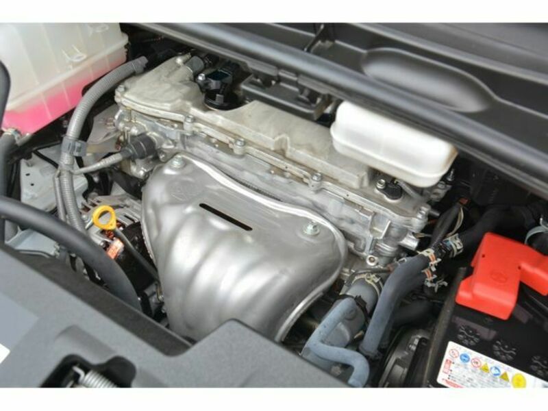 ALPHARD-22