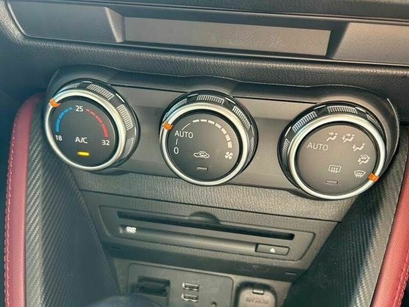 CX-3-10