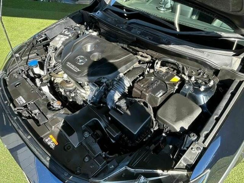 CX-3-17