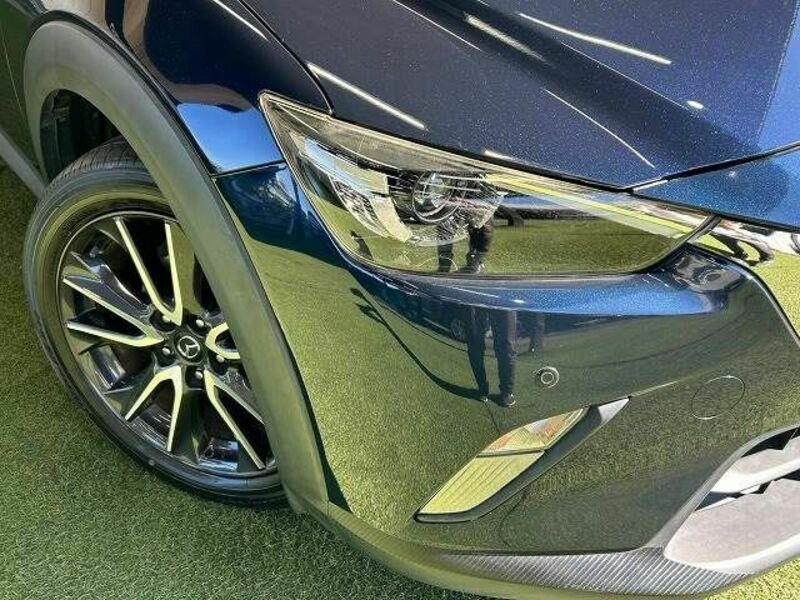 CX-3-19