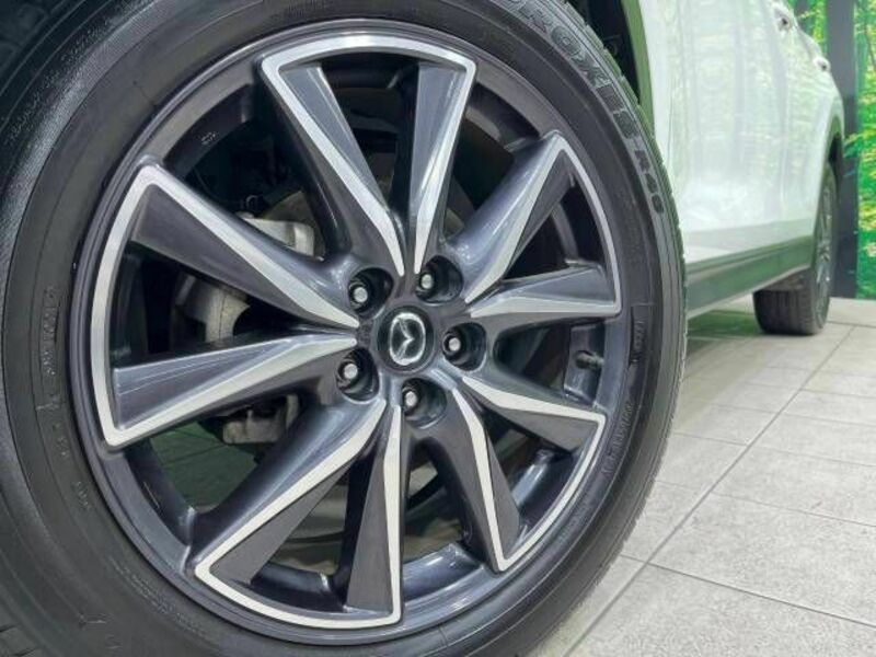 CX-5-11