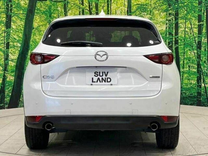 CX-5-13