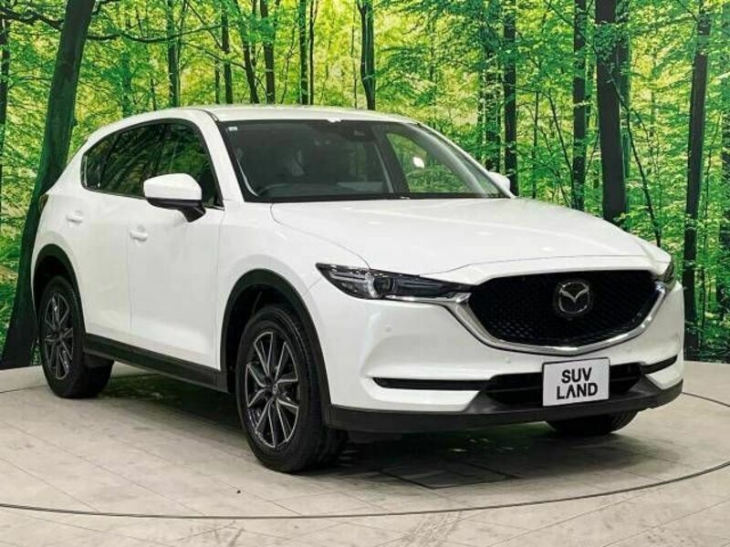CX-5-14