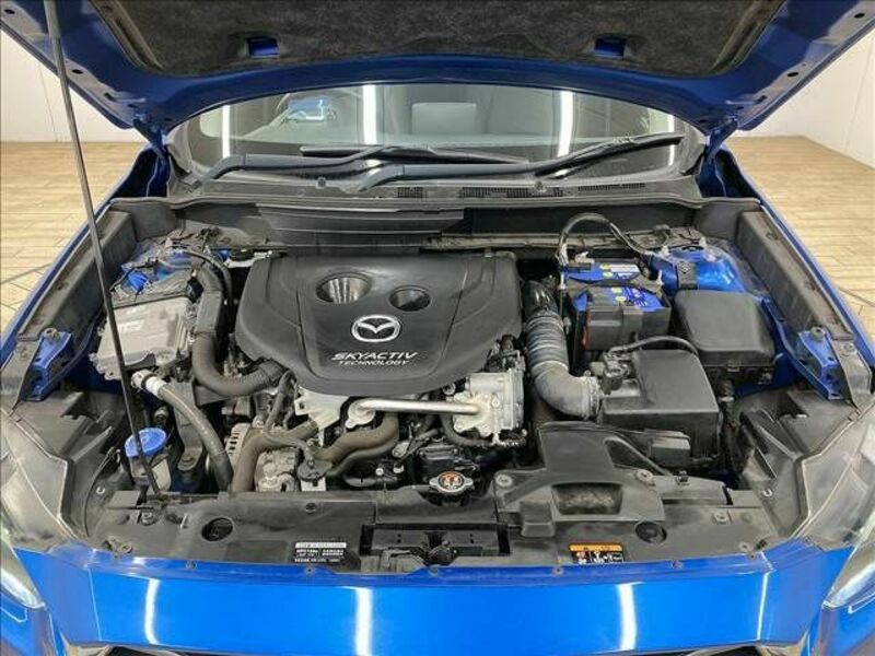 CX-3-17