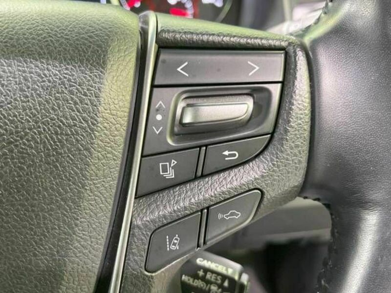 ALPHARD-6
