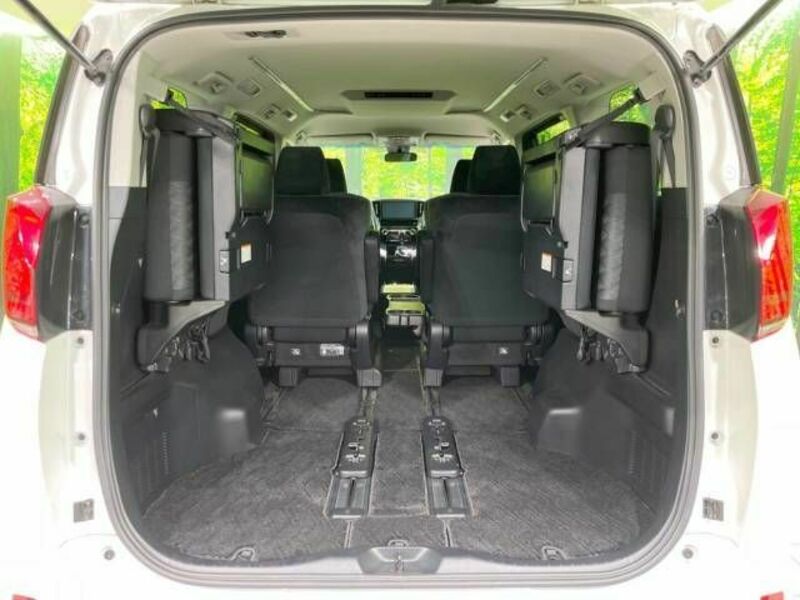 ALPHARD-10