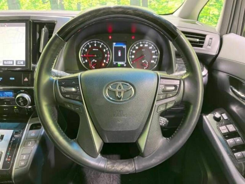 ALPHARD-11