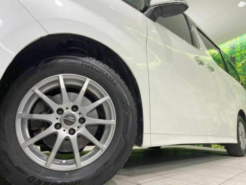 ALPHARD-13