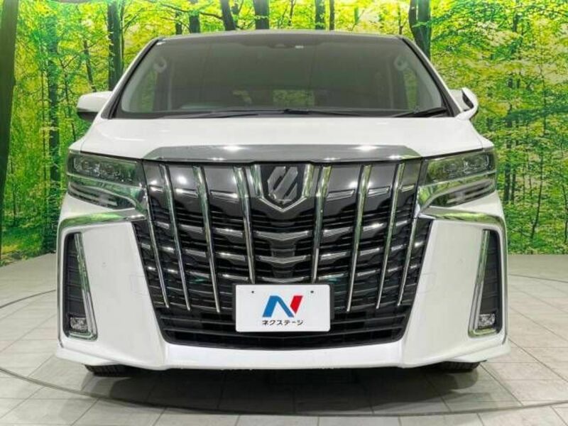 ALPHARD-14
