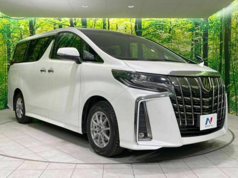 ALPHARD-16