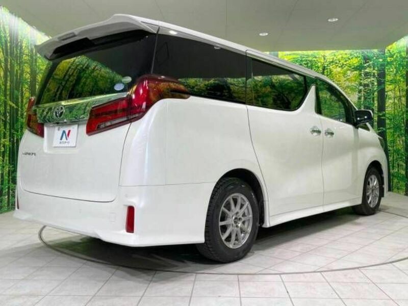 ALPHARD-17