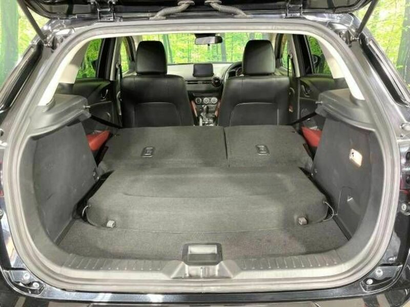 CX-3-9